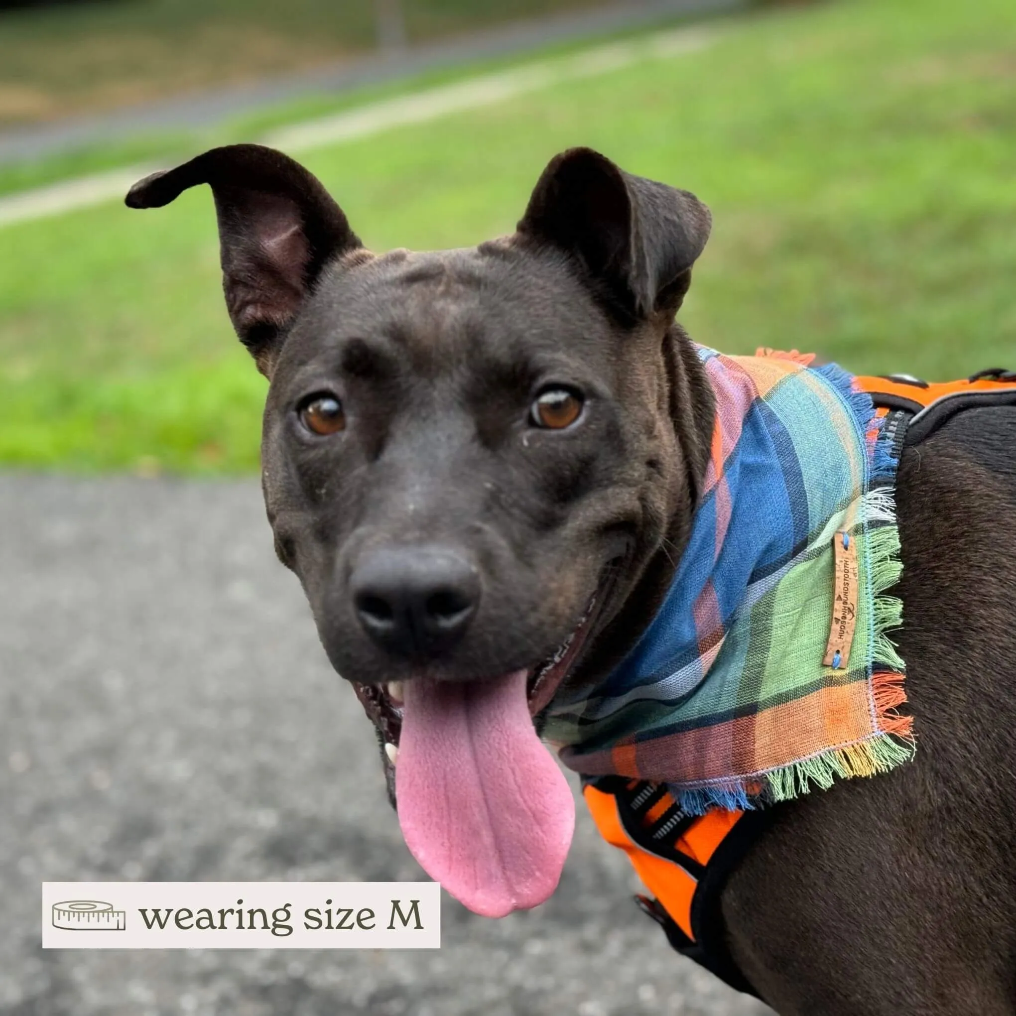 Citrus Sky Tartan Bandana