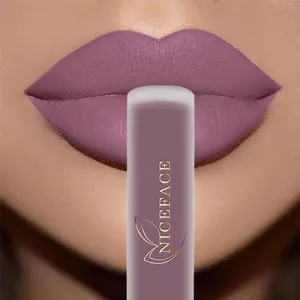 Trendy Waterproof Matte Velvet  Lipgloss